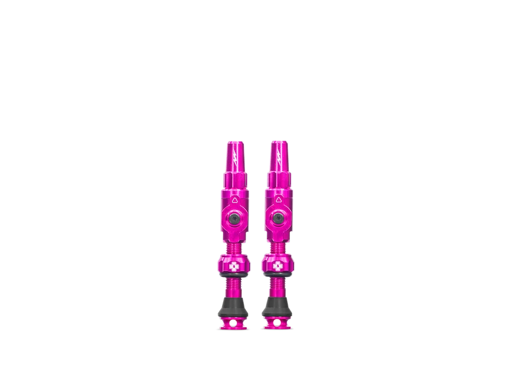 2026_07_01_1208401